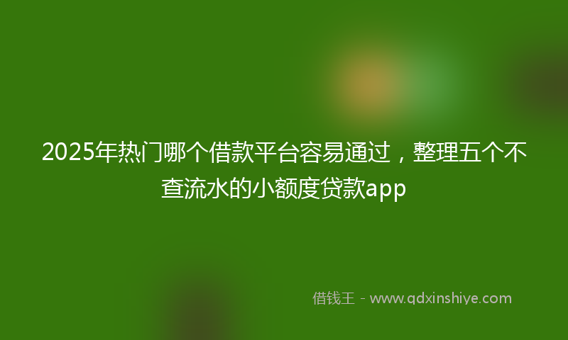 2025年热门哪个借款平台容易通过，整理五个不查流水的小额度贷款app