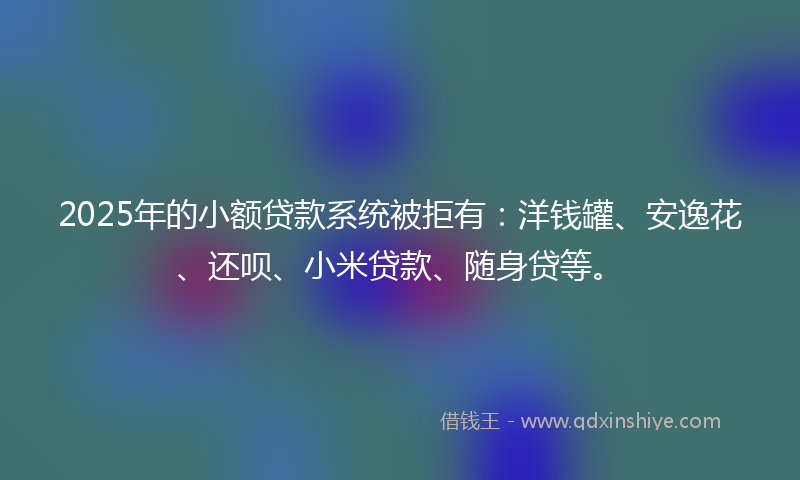 2025年的小额贷款系统被拒有：洋钱罐、安逸花、还呗、小米贷款、随身贷等。