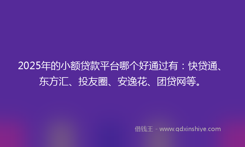 2025年的小额贷款平台哪个好通过有：快贷通、东方汇、投友圈、安逸花、团贷网等。
