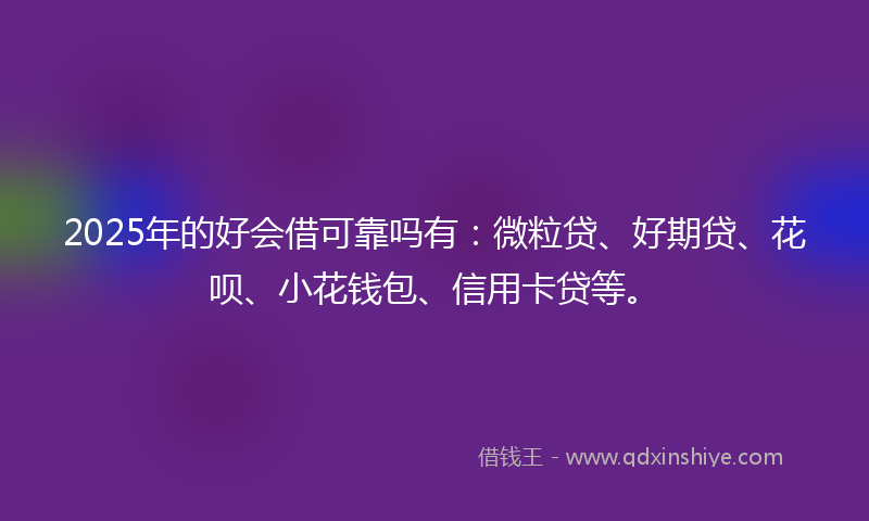 2025年的好会借可靠吗有：微粒贷、好期贷、花呗、小花钱包、信用卡贷等。