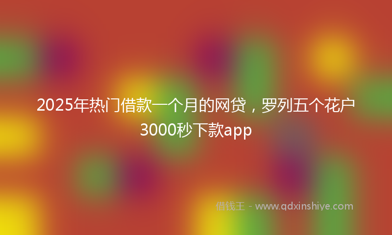 2025年热门借款一个月的网贷，罗列五个花户3000秒下款app