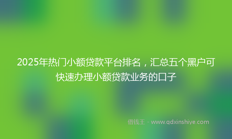 2025年热门小额贷款平台排名，汇总五个黑户可快速办理小额贷款业务的口子