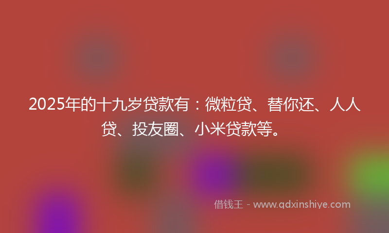 2025年的十九岁贷款有：微粒贷、替你还、人人贷、投友圈、小米贷款等。