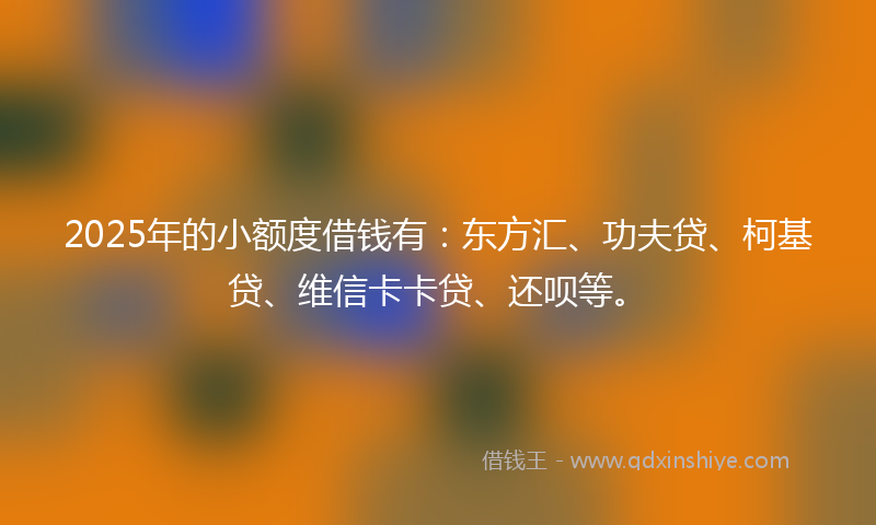 2025年的小额度借钱有：东方汇、功夫贷、柯基贷、维信卡卡贷、还呗等。