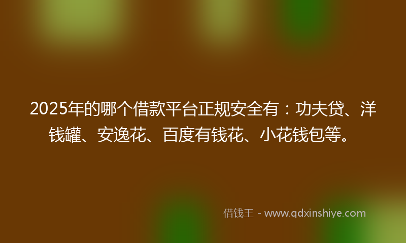 2025年的哪个借款平台正规安全有：功夫贷、洋钱罐、安逸花、百度有钱花、小花钱包等。