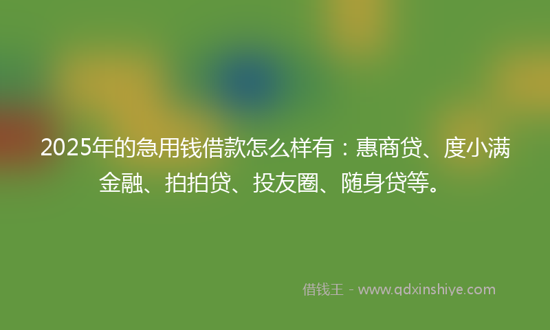 2025年的急用钱借款怎么样有：惠商贷、度小满金融、拍拍贷、投友圈、随身贷等。