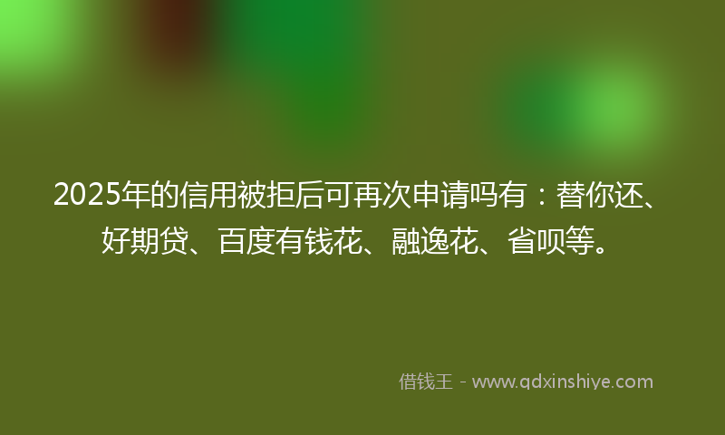2025年的信用被拒后可再次申请吗有：替你还、好期贷、百度有钱花、融逸花、省呗等。