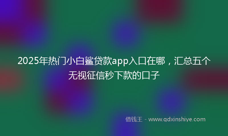 2025年热门小白鲨贷款app入口在哪，汇总五个无视征信秒下款的口子