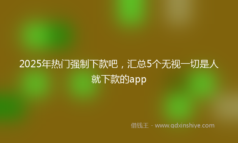 2025年热门强制下款吧，汇总5个无视一切是人就下款的app