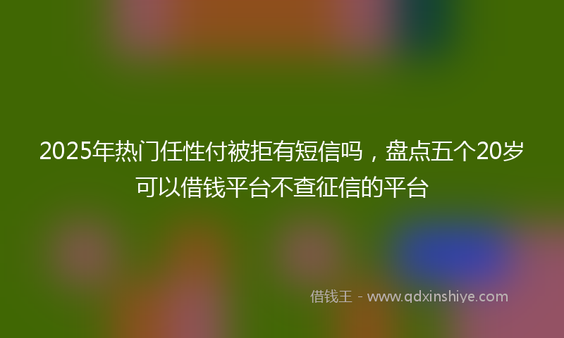 2025年热门任性付被拒有短信吗，盘点五个20岁可以借钱平台不查征信的平台