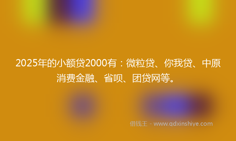 2025年的小额贷2000有：微粒贷、你我贷、中原消费金融、省呗、团贷网等。