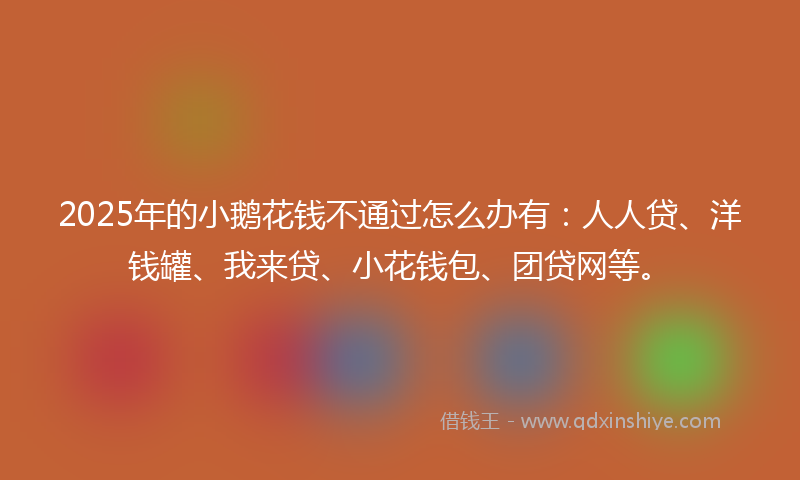 2025年的小鹅花钱不通过怎么办有：人人贷、洋钱罐、我来贷、小花钱包、团贷网等。