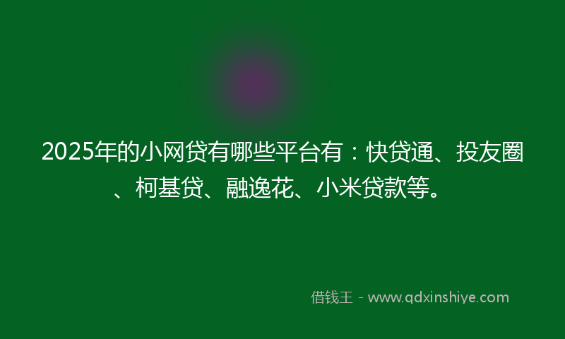 2025年的小网贷有哪些平台有：快贷通、投友圈、柯基贷、融逸花、小米贷款等。