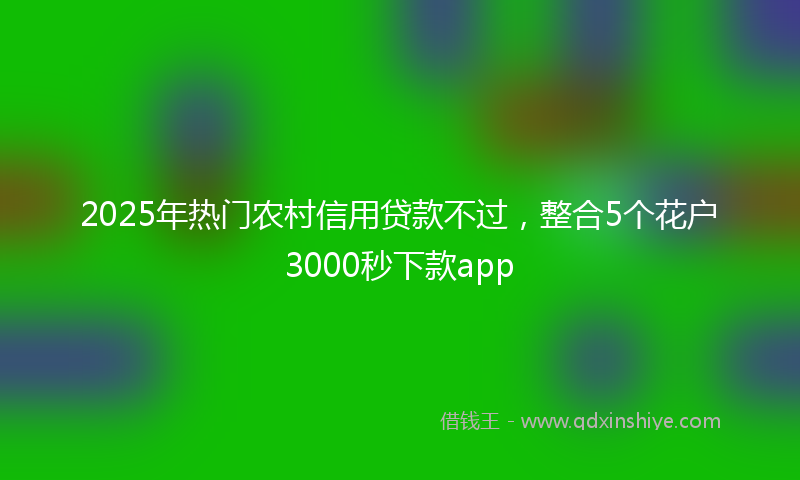 2025年热门农村信用贷款不过，整合5个花户3000秒下款app