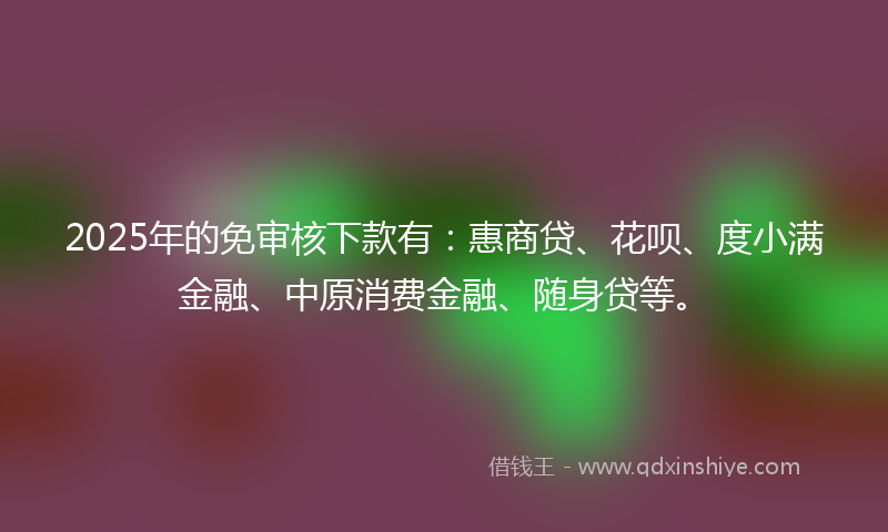2025年的免审核下款有：惠商贷、花呗、度小满金融、中原消费金融、随身贷等。