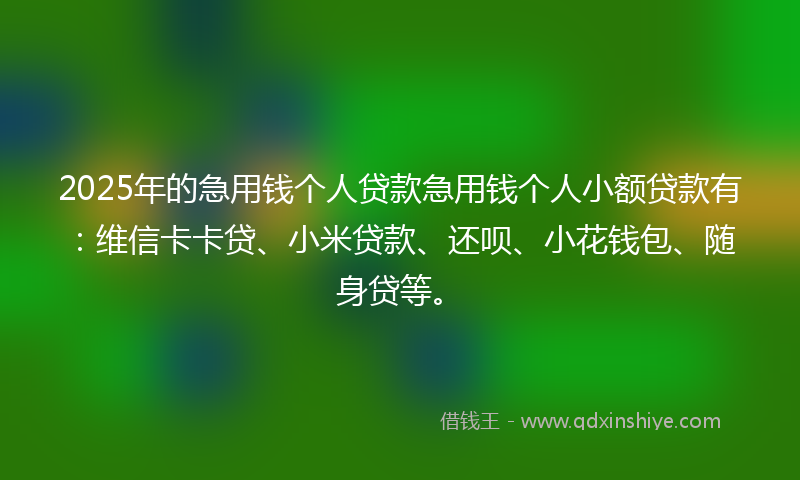 2025年的急用钱个人贷款急用钱个人小额贷款有：维信卡卡贷、小米贷款、还呗、小花钱包、随身贷等。