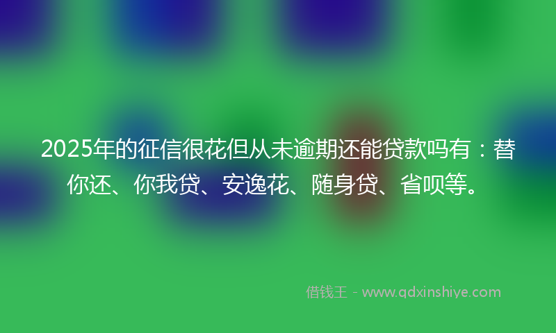 2025年的征信很花但从未逾期还能贷款吗有：替你还、你我贷、安逸花、随身贷、省呗等。