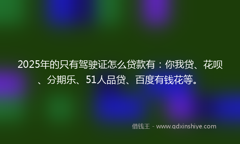 2025年的只有驾驶证怎么贷款有：你我贷、花呗、分期乐、51人品贷、百度有钱花等。