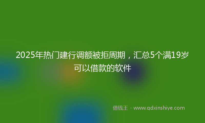 2025年热门建行调额被拒周期，汇总5个满19岁可以借款的软件