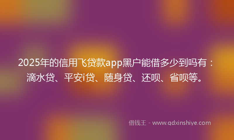 2025年的信用飞贷款app黑户能借多少到吗有：滴水贷、平安i贷、随身贷、还呗、省呗等。