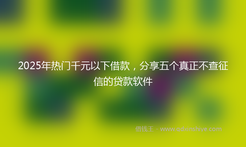 2025年热门千元以下借款，分享五个真正不查征信的贷款软件