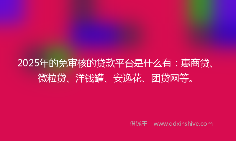 2025年的免审核的贷款平台是什么有：惠商贷、微粒贷、洋钱罐、安逸花、团贷网等。