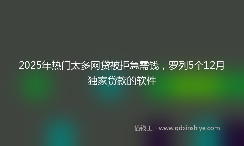 2025年热门太多网贷被拒急需钱，罗列5个12月独家贷款的软件