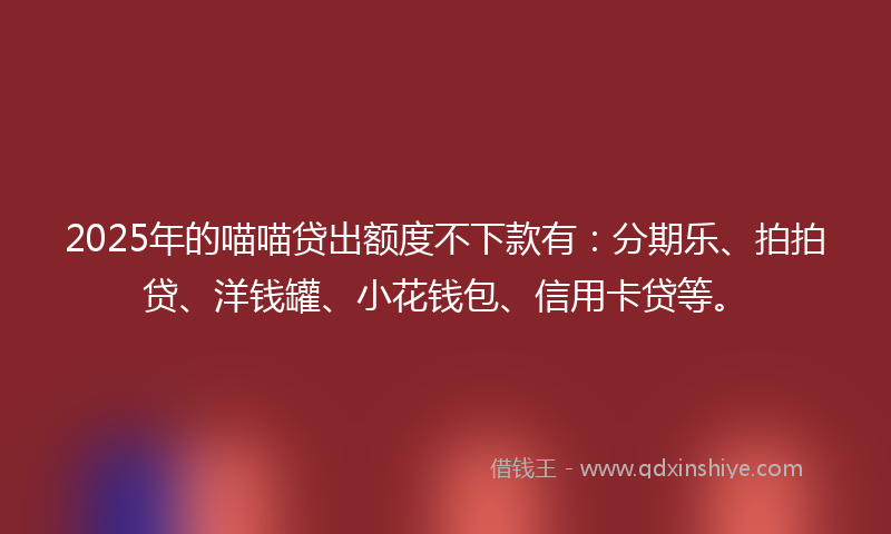 2025年的喵喵贷出额度不下款有：分期乐、拍拍贷、洋钱罐、小花钱包、信用卡贷等。
