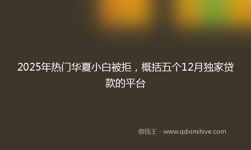 2025年热门华夏小白被拒，概括五个12月独家贷款的平台
