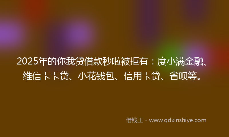 2025年的你我贷借款秒啦被拒有：度小满金融、维信卡卡贷、小花钱包、信用卡贷、省呗等。