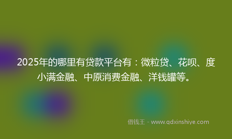2025年的哪里有贷款平台有：微粒贷、花呗、度小满金融、中原消费金融、洋钱罐等。