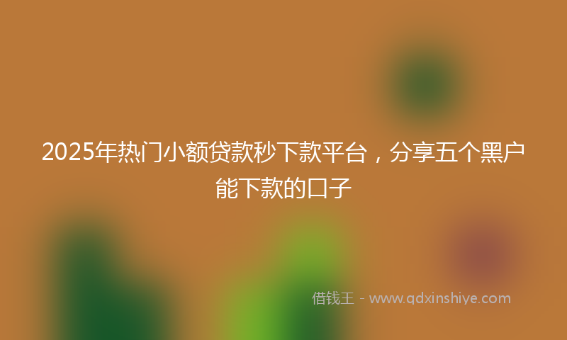 2025年热门小额贷款秒下款平台，分享五个黑户能下款的口子