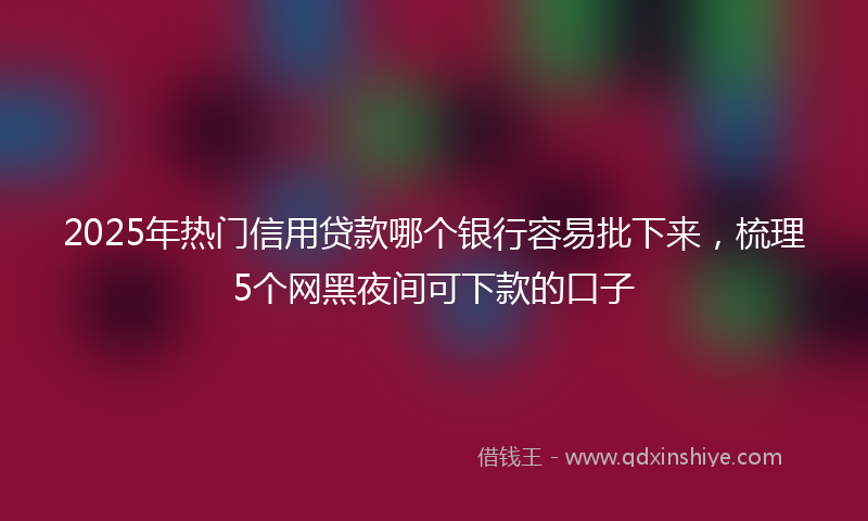 2025年热门信用贷款哪个银行容易批下来，梳理5个网黑夜间可下款的口子