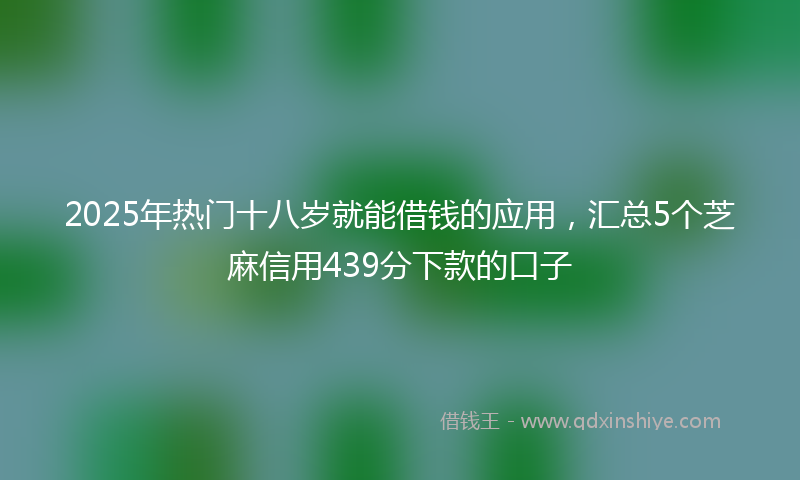 2025年热门十八岁就能借钱的应用，汇总5个芝麻信用439分下款的口子