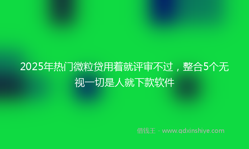 2025年热门微粒贷用着就评审不过，整合5个无视一切是人就下款软件