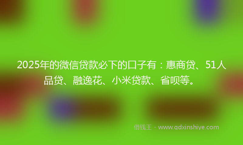 2025年的微信贷款必下的口子有：惠商贷、51人品贷、融逸花、小米贷款、省呗等。
