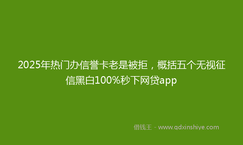 2025年热门办信誉卡老是被拒，概括五个无视征信黑白100%秒下网贷app