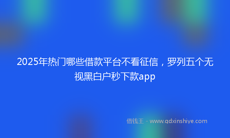 2025年热门哪些借款平台不看征信，罗列五个无视黑白户秒下款app