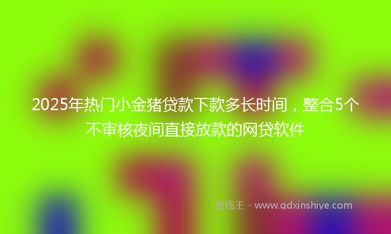 2025年热门小金猪贷款下款多长时间，整合5个不审核夜间直接放款的网贷软件