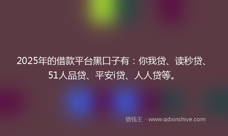 2025年的借款平台黑口子有：你我贷、读秒贷、51人品贷、平安i贷、人人贷等。