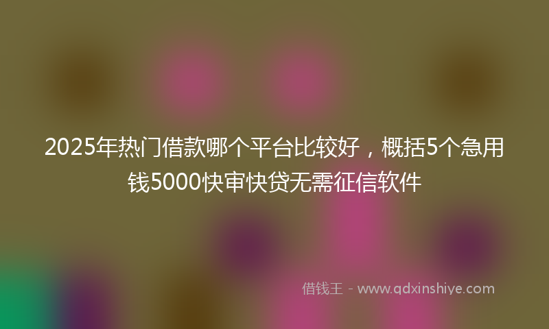 2025年热门借款哪个平台比较好，概括5个急用钱5000快审快贷无需征信软件