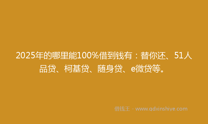 2025年的哪里能100%借到钱有：替你还、51人品贷、柯基贷、随身贷、e微贷等。