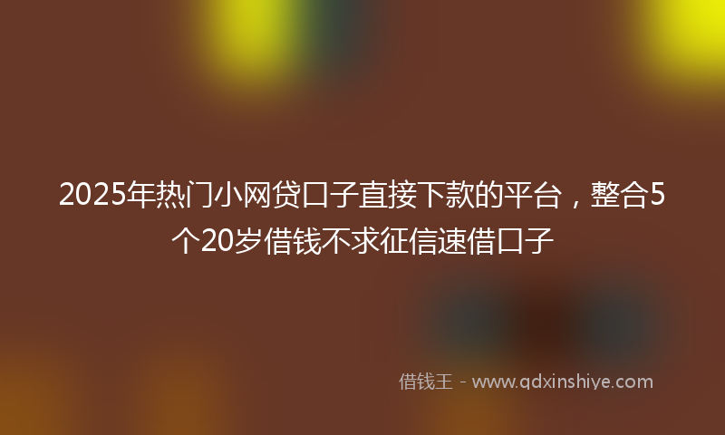 2025年热门小网贷口子直接下款的平台，整合5个20岁借钱不求征信速借口子