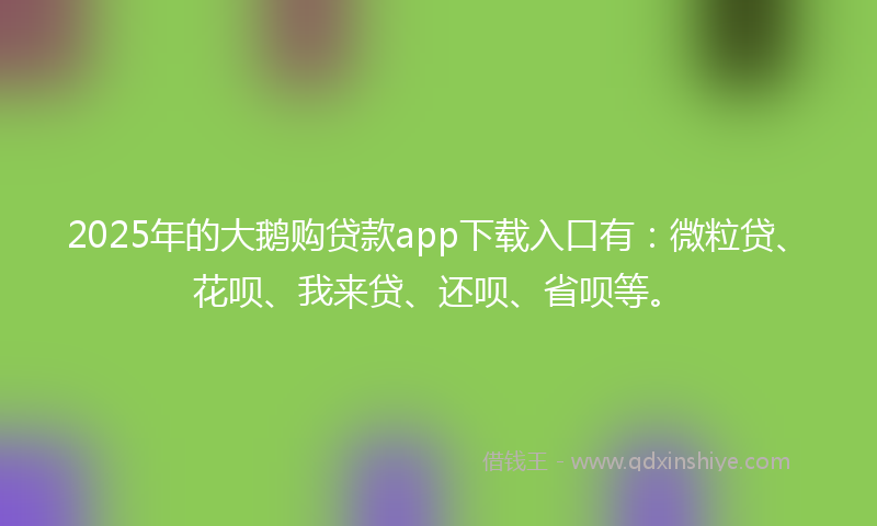 2025年的大鹅购贷款app下载入口有：微粒贷、花呗、我来贷、还呗、省呗等。