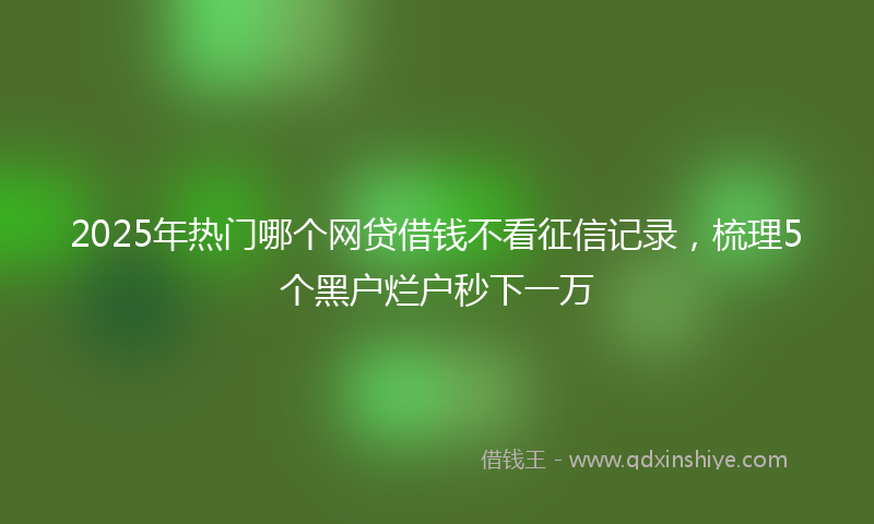 2025年热门哪个网贷借钱不看征信记录，梳理5个黑户烂户秒下一万
