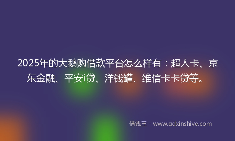 2025年的大鹅购借款平台怎么样有：超人卡、京东金融、平安i贷、洋钱罐、维信卡卡贷等。