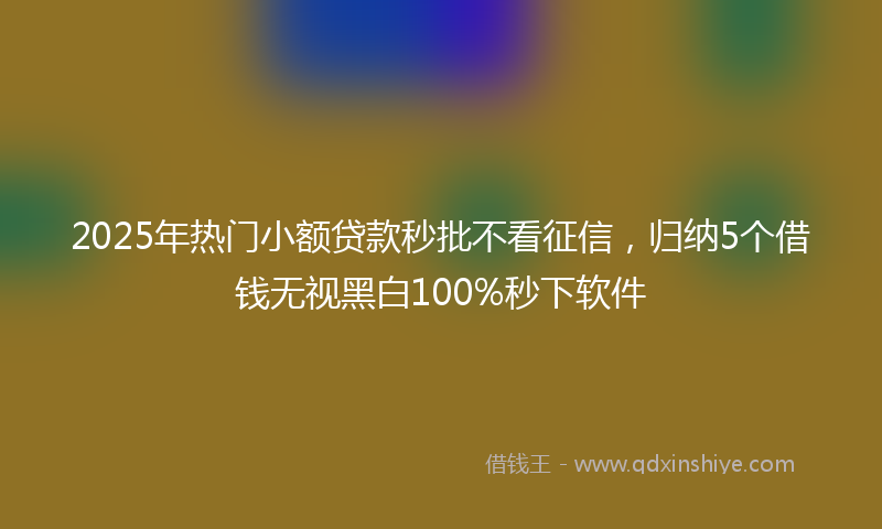 2025年热门小额贷款秒批不看征信，归纳5个借钱无视黑白100%秒下软件