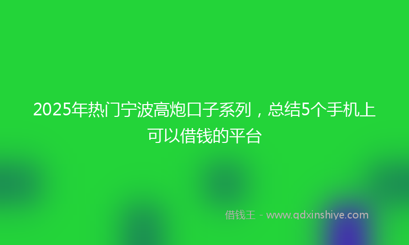 2025年热门宁波高炮口子系列，总结5个手机上可以借钱的平台