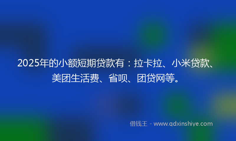 2025年的小额短期贷款有：拉卡拉、小米贷款、美团生活费、省呗、团贷网等。