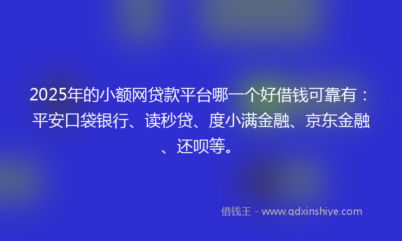 2025年的小额网贷款平台哪一个好借钱可靠有：平安口袋银行、读秒贷、度小满金融、京东金融、还呗等。